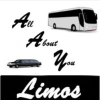 All About You Limos image 11